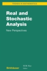Image for Real and Stochastic Analysis: New Perspectives