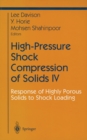 Image for High-Pressure Shock Compression of Solids IV: Response of Highly Porous Solids to Shock Loading