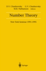 Image for Number Theory: New York Seminar 1991-1995