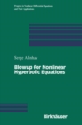 Image for Blowup for Nonlinear Hyperbolic Equations