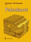 Image for Paleokarst