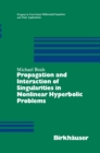 Image for Propagation and Interaction of Singularities in Nonlinear Hyperbolic Problems