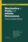 Image for Stochastics in Finite and Infinite Dimensions