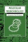Image for Molecular Neurovirology
