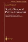 Image for Spatio-Temporal Pattern Formation