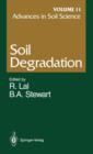 Image for Advances in Soil Science : Soil Degradation Volume 11