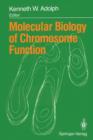 Image for Molecular Biology of Chromosome Function