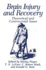 Image for Brain Injury and Recovery : Theoretical and Controversial Issues