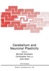 Image for Cerebellum and Neuronal Plasticity