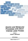 Image for Atomic and Molecular Processes with Short Intense Laser Pulses