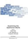 Image for Examining the Submicron World