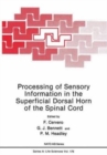 Image for Processing of Sensory Information in the Superficial Dorsal Horn of the Spinal Cord