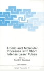 Image for Atomic and Molecular Processes with Short Intense Laser Pulses