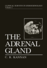Image for Adrenal Gland