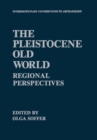 Image for Pleistocene Old World: Regional Perspectives