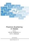 Image for Positron Scattering in Gases