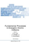 Image for Fundamental Processes in Energetic Atomic Collisions