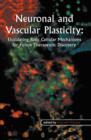 Image for Neuronal and Vascular Plasticity : Elucidating Basic Cellular Mechanisms for Future Therapeutic Discovery