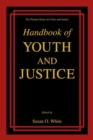 Image for Handbook of Youth and Justice