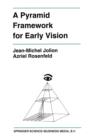 Image for A Pyramid Framework for Early Vision : Multiresolutional Computer Vision