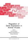 Image for Regulation of Gene Expression in Animal Viruses
