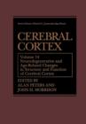 Image for Cerebral Cortex : Neurodegenerative and Age-Related Changes in Structure and Function of Cerebral Cortex