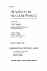 Image for Advances in Nuclear Physics: Volume 20