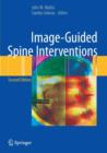 Image for Image-guided spine interventions