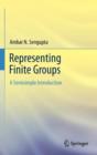 Image for Representing finite groups  : a semisimple introduction