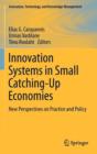 Image for Innovation Systems in Small Catching-Up Economies