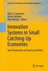 Image for Innovation systems in small catching-up economies: new perspectives on practice and policy
