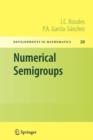 Image for Numerical Semigroups