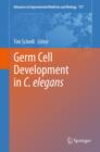 Image for Germ cell development in C. elegans