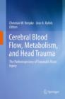 Image for Cerebral blood flow, metabolism, and head trauma  : the pathotrajectory of traumatic brain injury