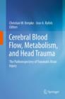 Image for Cerebral blood flow, metabolism, and head trauma: the pathotrajectory of traumatic brain injury