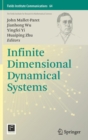Image for Infinite Dimensional Dynamical Systems
