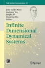 Image for Infinite Dimensional Dynamical Systems