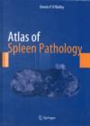 Image for Atlas of spleen pathology