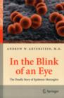 Image for In the Blink of an Eye : The Deadly Story of Epidemic Meningitis