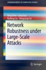 Image for Network Robustness under Large-Scale Attacks