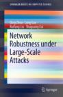 Image for Network robustness under large-scale attacks