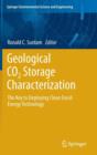 Image for Geological CO2 storage characterization  : the key to deploying clean fossil energy technology