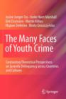 Image for The Many Faces of Youth Crime