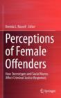 Image for Perceptions of Female Offenders