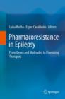 Image for Pharmacoresistance in Epilepsy