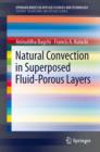 Image for Natural convection in superposed fluid-porous layers : 38