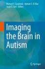 Image for Imaging the brain in autism