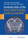 Image for Forebrain Atlas of the Short-tailed Fruit Bat, Carollia perspicillata