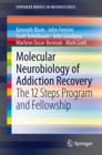 Image for Molecular Neurobiology of Addiction Recovery : The 12 Steps Program and Fellowship