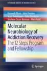 Image for Molecular Neurobiology of Addiction Recovery: The 12 Steps Program and Fellowship